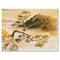 Designart - Curved Pine Tree On The Top of Sokolica Peak - Traditional Canvas Wall Art Print